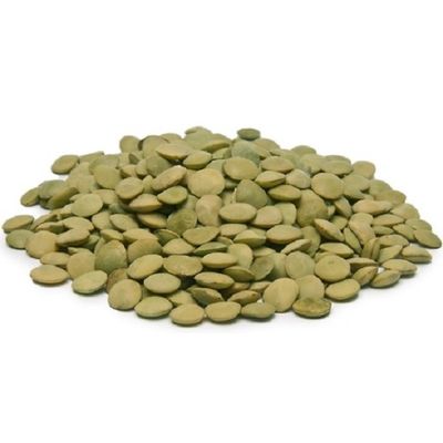 good quality grade green lentils whole sale supplier
