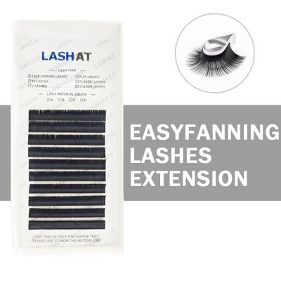 EYELASH Bloom Eyelash Extension Fans 0.07mm C D DD CC M L Curl Wholesale Easy Fan Faux Mink Eyelash