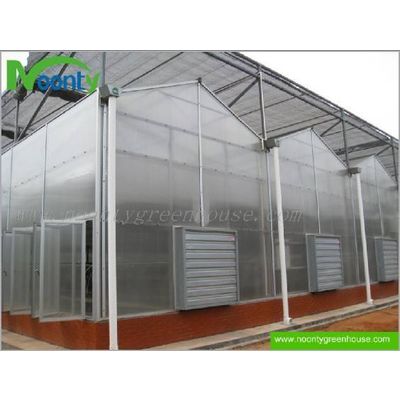 Venlo Polycarbonate (PC) Greenhouse