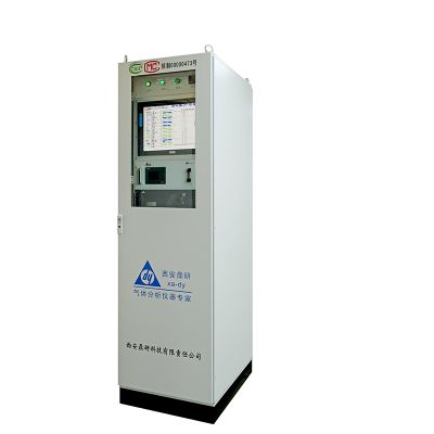 DY-FG200 gas analyzer
