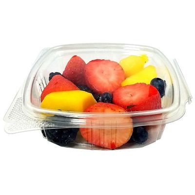 Clear Take Out Hinged Lid Plastic Clamshell Salad Container
