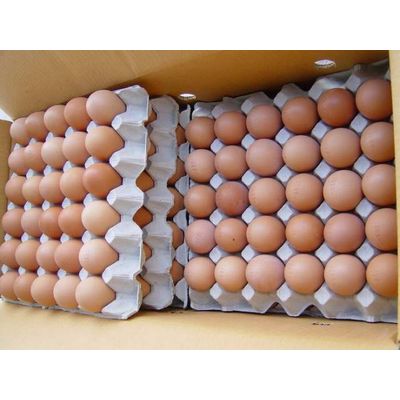 Fresh Brown Table Chicken Eggs