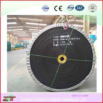 DIN/ASTM/Cema/Sha Standard Conveyor Belt