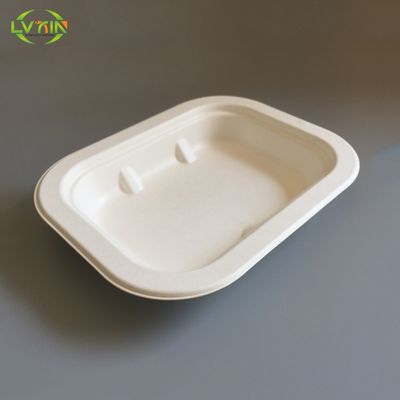 Professional wet pressing white biodegradable food serving trays,food safe tray,food packaging trays