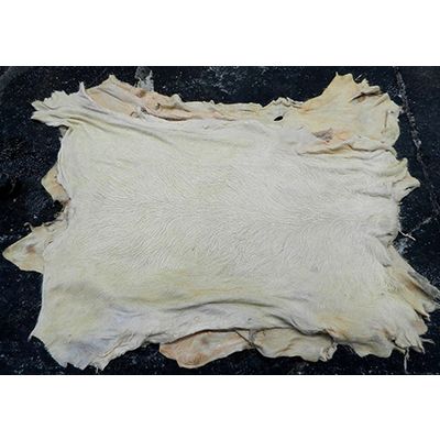 Dried Pickled Cow Hides for Petfood