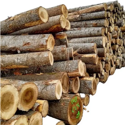 Sawn Timber logs/Beech Logs For Sale In Germany At Low cost.