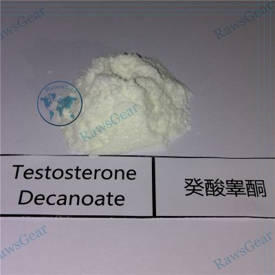 Testosterone Decanoate Raw Powder CAS 5721-91-5