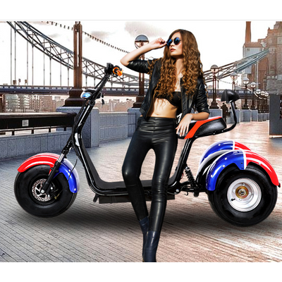 3 wheel electric harley electric scooter motor