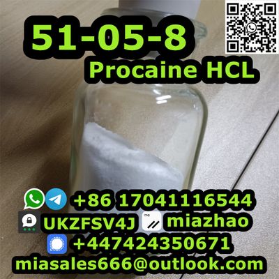 PROCAINE hydrochloride CAS 51-05-8 custom clearance best price with free sample