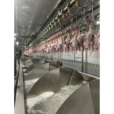 Duck Slaughter Production Line in China