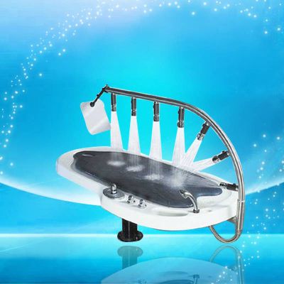 European style vicky shower ,Wet bed water massage bed