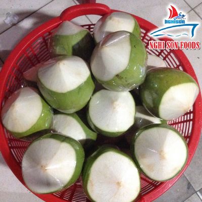 Vietnam Fresh Young Coconut