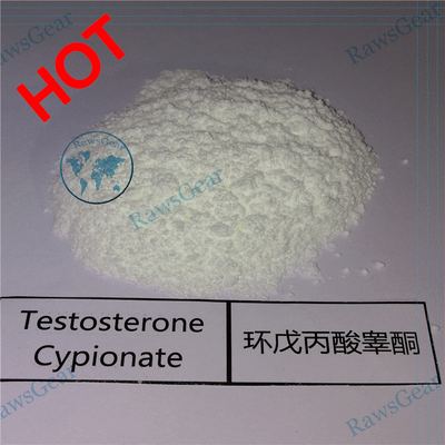 Testosterone Cypionate (TEST CYP) Raw powder CAS 58-20-8