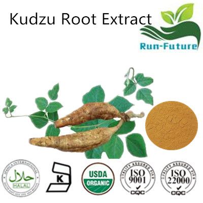 Kudzu Root Extract ,kudzu Powder Manufacturers - Runfuture (Xi'an)Co.,Ltd