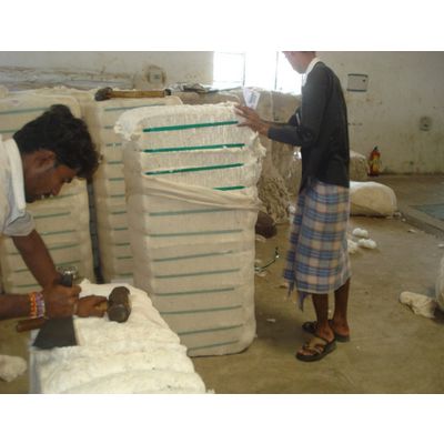 Indian Origin Of Raw Cotton DCH-32 - Bhadrakaali Fibres Private Limited