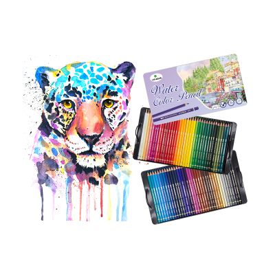 Coloring Art Supplies 72pcs Artist student Watercolor Pencil Set