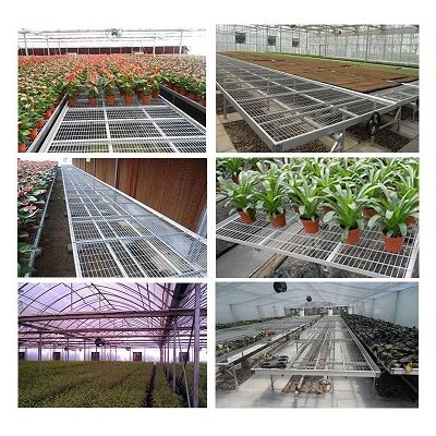 greenhouse movable benches , best quality and competitived price