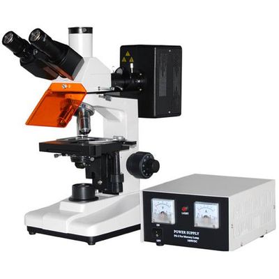L1501 Relected Fluorescence Microscope