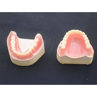 Dental Removable Partial Acrylic Resin Denture One High Dental Lab Inc