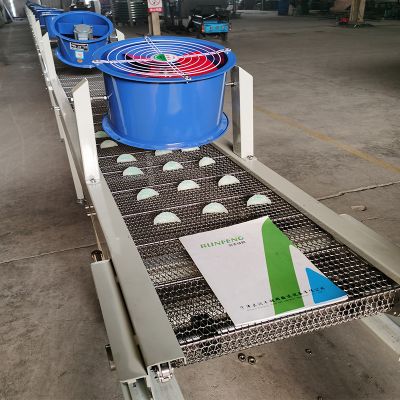 Industrial Ozone Sterilization Air Bubble Fruit/Vegetable Washing Machine for Food Processing