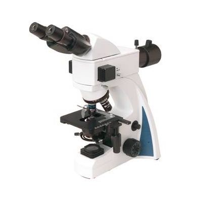 MBU330BF Fluorescent Microscope