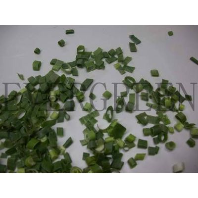 Freeze Dried Spring Onion - Linshu Evergreen Co.Ltd