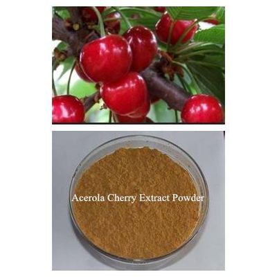 Acerola Cherry Extract Powder