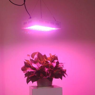 Full Spectrum LED Grow Lights 1000watts for Plant Factory City Farming
