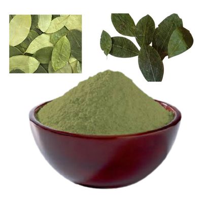 leaf Coca Powder Medicinal (Erythroxylum) from peru