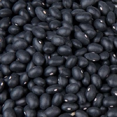 good quality grade black bean whole sale price