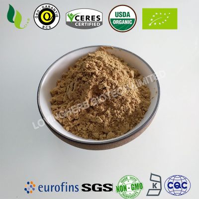 Organic reishi mushroom powder / extract