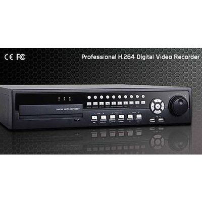 true h 264 dvr