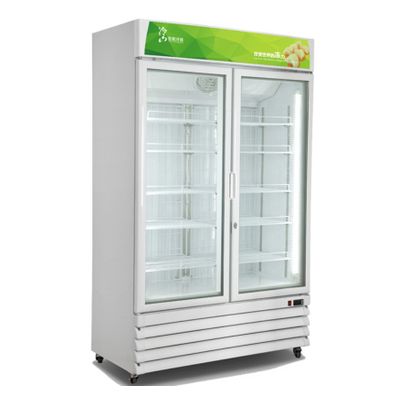 -18~ -23C Supermarket 2 glass doors upright freezer Ice cream display freezer