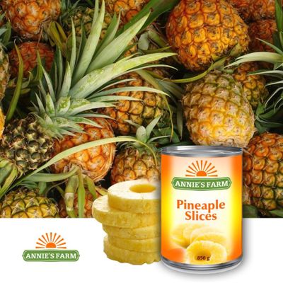 Sliced Pineapple in light syrup