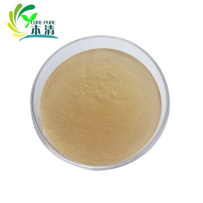 Supply Yeast Beta Glucan Powder