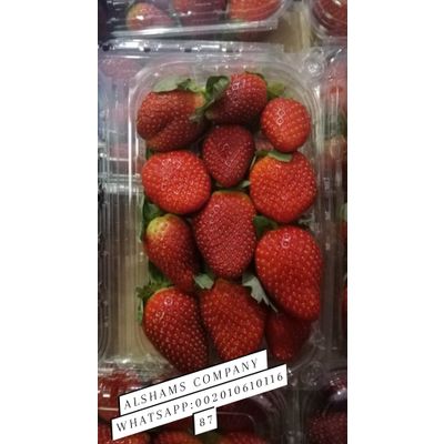 fresh Egyptian strawberry