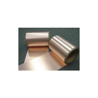 FCCL (Flexible Copper Clad Lamination)