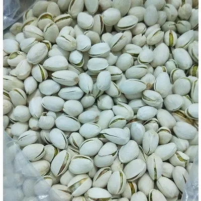 wholesale quality Pistachio Nuts