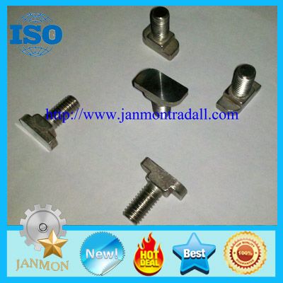Stainless steel T bolt,T bolt,T bolts,Special T bolt,Special T bolts,Stainless steel bolt,stainless