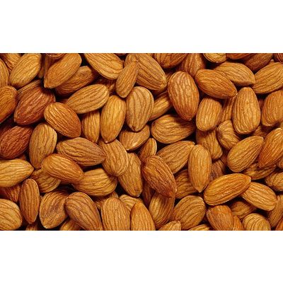 best quality grade ordinary almond whole sale supplier