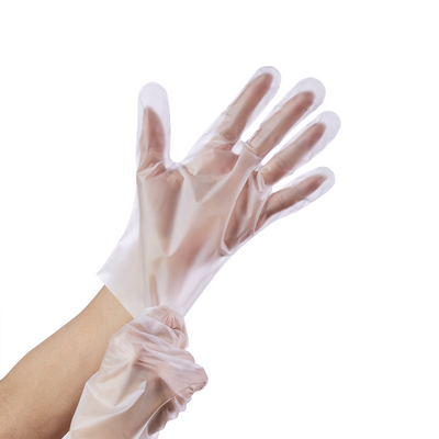 TPE plastic disposable hand gloves for food service
