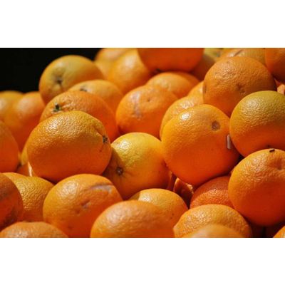 Fresh Citrus Naval oranges, Lemons, Mandarins, Valencia orange, Lime