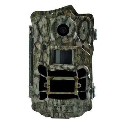 No Motion Blur 720P HD Hunting Trail Scouting Game Camera with 10MP Color Night Picture