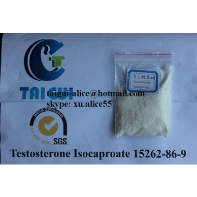 Safe Muscle Building Steroids / Testosterone Isocaproate For Male Sexual Dysfunction CAS 15262-86-9