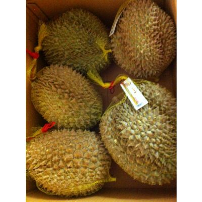 Best Price with High Quality Durian from Viet Nam