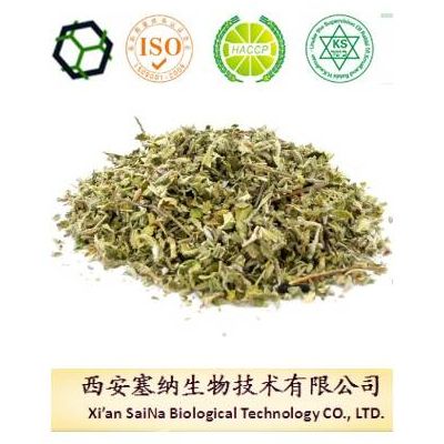 100% Pure Natural Damiana Leaf Extract Powder