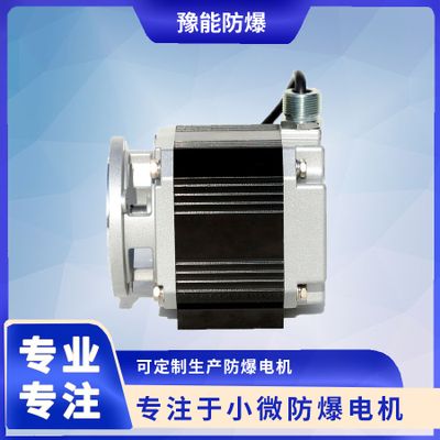 BS04 DC brushless permanent magnet motor for oil and gas recovery
