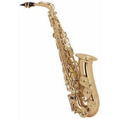 Alto saxophone like Selmer ,electrophoresis