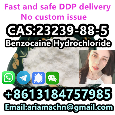 CAS 23239-88-5 Ben zo caine Hydrochloride Ben zo caine HCL with high performance-to-price ratio