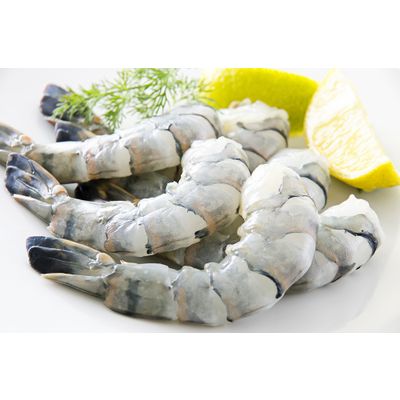 Raw PDTO Black Tiger Shrimp with High Quality, Competitive Price and On Time Delivery (Wehapi.vn)